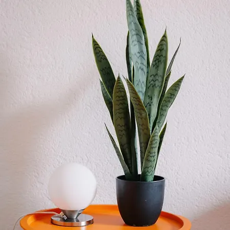 Bergoase In See- Und Bergnaehe, 6 Gaeste, Praktisch, Mit Balkon Apartamento