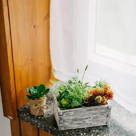 아파트 Bergoase In See- Und Bergnaehe, 6 Gaeste, Praktisch, Mit Balkon