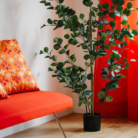 Apartamento Bergoase In See- Und Bergnaehe, 6 Gaeste, Praktisch, Mit Balkon Spiez