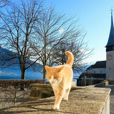 Bergoase In See- Und Bergnaehe, 6 Gaeste, Praktisch, Mit Balkon Spiez