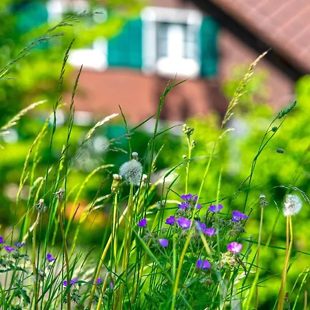 Bergoase In See- Und Bergnaehe, 6 Gaeste, Praktisch, Mit Balkon 아파트 슈피츠
